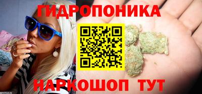 mdpv Можга