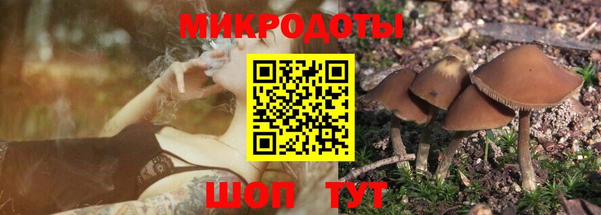 Галлюциногенные грибы мицелий Усолье-Сибирское